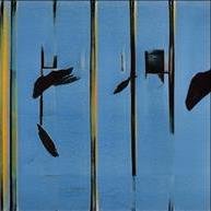 Florida Sluts That Wanna Fuck