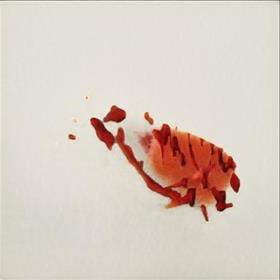 WA Backpage Hot Girls