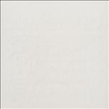 Florida Fuck Local Girl