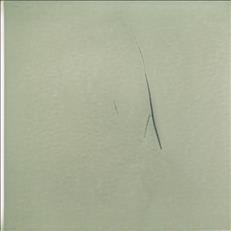 Local Girls For Fuck