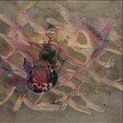 Sluts Who Wanna Fuck Connecticut