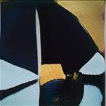 Sluts Who Wanna Fuck Maryland